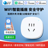 欧伦特（OIT）智能插座 已接入米家APP远程控制 语音控制 定时开关 10A电量统计插头 防雷过载保护 自动断电CB6