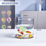 团圆月加厚大小号玻璃圆柱鱼缸客厅家用落地花瓶圆形圆柱形水培直筒 20*20圆柱+彩石6件套