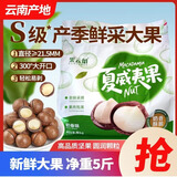 果云阁26年新货  云南夏威夷果0添加原味5斤 孕妇/儿童坚果办公室零食 【精选大果24-26mm】  奶香味        5斤