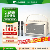 惠威（HiVi）高品质复古蓝牙便携音箱桌面音响家用室内k歌户外音响麦克风音箱一体机  送朋友生日礼物 TQ55白色