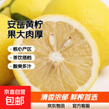 京喜加安岳黄柠檬泡水喝 新鲜水果  清香浓郁细腻 带箱9.5-10斤大果（单果150g+）