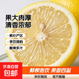 京喜加安岳黄柠檬泡水喝 新鲜水果  清香浓郁细腻 带箱3斤大果（单果150g+）