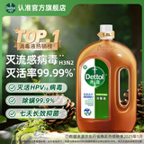 滴露（Dettol）消毒液消毒水衣物除菌液 灭活甲型H3N2流感病毒杀菌除螨非84酒精 【家居消毒】 1.8L 1瓶