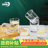 青苹果耐热玻璃水杯咖啡杯220ml6只 家用冰川锤纹茶杯洋酒杯啤酒杯