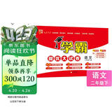 2025版 学霸提优大试卷二年级下册语文人教部编全国通用版 经纶5星2下测试卷期中期末考试单元卷子