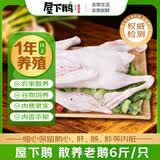 屋下鹅 1年老鹅 净重6斤/个 带鹅腿 冷冻散养 大鹅土鹅烧鹅整只散养卤鹅