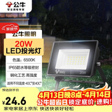 公牛（BULL）LED投光灯户外庭院工厂园林灯露营灯 IP65防水等级20W-6500K白光