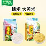 十月稻田 糯米 2斤+大黄米 2斤 组合装 黄米凉糕 包粽子 杂粮米