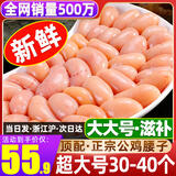 清爵【品质保证】鸡腰子新鲜精选鸡肾鸡腰睾丸公鸡鸡腰子鸡卵鸡子生鲜 大大号【鲜冻鸡腰子】净重250g（30-40个）净重