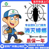 深圳广州佛山东莞惠州重庆江门同城当天极速上门专业灭蟑螂杀虫服务全屋德国小蠊美洲大蠊包年除餐饮消杀防治 家庭100m2内 深圳广州