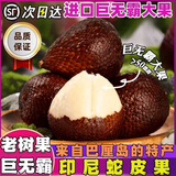 鲜级佳印尼蛇皮果【顺丰冷链-送货上门】进口热带罕见稀有记忆果孕妇 净重1000g 巨无霸大果-顺丰冷链 商超5A级大果