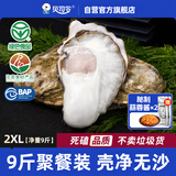 贝司令鲜活乳山生态生蚝2XL 净重9斤 32-38只 生鲜源头直发露营聚会