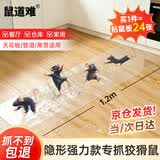 鼠道难博佳胜老鼠一窝端神器老鼠贴超强力粘鼠板灭鼠强捕黏鼠板魔毯3条