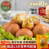 笨生活13天新鲜活珠子香辣味50g*10枚正宗钢化蛋毛蛋真空包装开袋即食