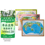 3D凹凸立体世界地形图套装（立体地形图+地形政区双面填充地图+世界拼图）