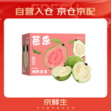 京鲜生 白心奶油芭乐番石榴 净重3斤 单果150g+ 生鲜水果礼盒