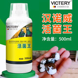 VICTERY汉诺威活菌王赛种信鸽鸽子肠道营养保健品益生菌液抢食王鸽用活菌