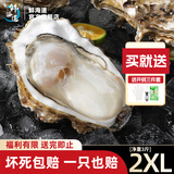 鲜海道【品质】鲜海道生态生蚝  乳山牡蛎 活鲜海蛎子生鲜贝类 2XL净重3斤