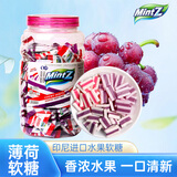MintZ印尼进口糖果休闲零食清新口气综合水果薄荷味软糖量贩桶装 460g