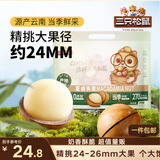 三只松鼠夏威夷果500g约24-26mm儿童每日坚果炒货休闲零食团购送礼