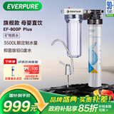 爱惠浦（Everpure） 家用矿物质厨下净水器 大流量0废水直饮 1.8L/分钟3500L处理量 EF-900P Plus