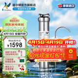 道尔顿（Doulton）净水器家用直饮英国原装进口  道尔顿明星爆款DIS厨下矿物质净水机自来水过滤0废水不用电 DIS套机(自带/加配各1芯共2支)