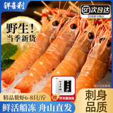 鲜喜利鳌虾新鲜刺身级深海野生大号甜虾鲜活船冻国产非新西兰进口鳌虾 1000g(净重)  11-13cm 【15—18只/斤 个大】
