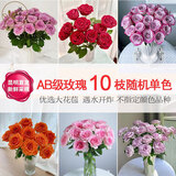 悦多彩优质水养鲜切花 母亲节三八节花束 昆明基地现采直发顺丰生活鲜花 AB级单头玫瑰（随机色）10支