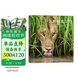 万物有灵：国际野生生物摄影年赛 第54届获奖作品