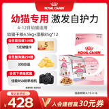 皇家幼猫 干湿搭配   K36 4.5KG+ KJP 85G*12