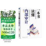 一本书读懂内部审计（故事化呈现企业内部审计工作流程与实操知识）