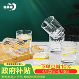 青苹果耐热玻璃水杯咖啡杯220ml6只 家用冰川锤纹茶杯洋酒杯啤酒杯