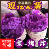 紫罗兰红薯沙地现挖紫薯宝宝辅食紫芋头山芋苕粗粮新鲜包邮 紫薯5斤装中果 优选款