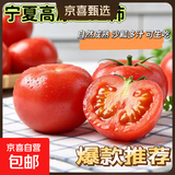 现摘沙瓤西红柿番茄可生吃现摘现发新鲜蔬菜减肥生鲜 精品小果 单果60g+ 400g 净重