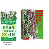 索恩丛书丛书·血染开普敦：布尔战争史