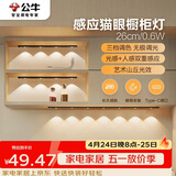 公牛（BULL）感应猫眼橱柜灯磁吸充电山丘光效展柜玄关氛围小夜灯 黑26cm三色