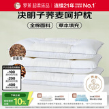 罗莱家纺 枕头枕芯脊椎枕 100%全棉决明子荞麦花草护颈低枕 46*72