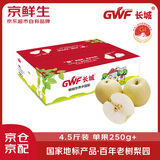 京鲜生 长城河北皇冠梨 4.5斤装 单果250g+ 国家地标产品 生鲜水果
