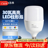 洛林（ROLin）LED灯泡节能灯泡E27螺口家用商用大功率光源 柱形30W白光