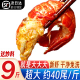 北极滩特大龙虾尾冷冻生鲜大特级湖北海鲜虾类麻辣虾球烧烤食材年货 【大特级】9斤 送秘料 固形物≥53%