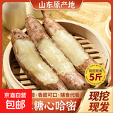 山东正宗哈密冰糖薯白心牛奶板栗红薯爆皮王番薯无丝无筋产地包邮 【优选】5斤中大果 带箱