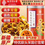 南同四海南京同仁堂头采昆仑雪菊茶新疆特级生野养护肝天山正宗胎菊菊花茶