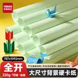 天章 （TANGO）彩色卡纸全开220g浅绿色加厚大尺寸海报纸787*1092手工涂鸦纸家长会活动背景儿童绘画硬卡纸10张