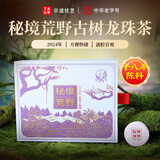 下关沱茶茶叶普洱茶生茶十八年陈料 2024年秘境荒野古树小铁饼160g