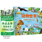 动物世界 全景图说动物百科绘本精装版--小麒麟原创童书  