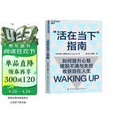 活在当下指南 提升心智摆脱不满与失控 成功励志  图书湛庐 书籍