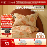 水星家纺枕套纯棉100%全棉磨毛柔感对枕套抑菌A类枕头罩一对装双人48x74cm