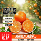 云南沃柑新鲜水果现摘现发蜜桔子桔子甜橙子 精品大果3斤净果