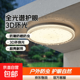 户外吸顶灯庭院屋檐室外室内阳台灯农村自建房大门门口防虫照明灯 升级3D环绕发光【直径30cm】30W白光  【全光谱护眼Ra＞98】