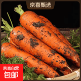 京喜加山东新鲜胡萝卜水果胡萝卜现挖现发蔬菜水果沙地红萝卜减脂 带泥胡萝卜5斤 净重 含箱